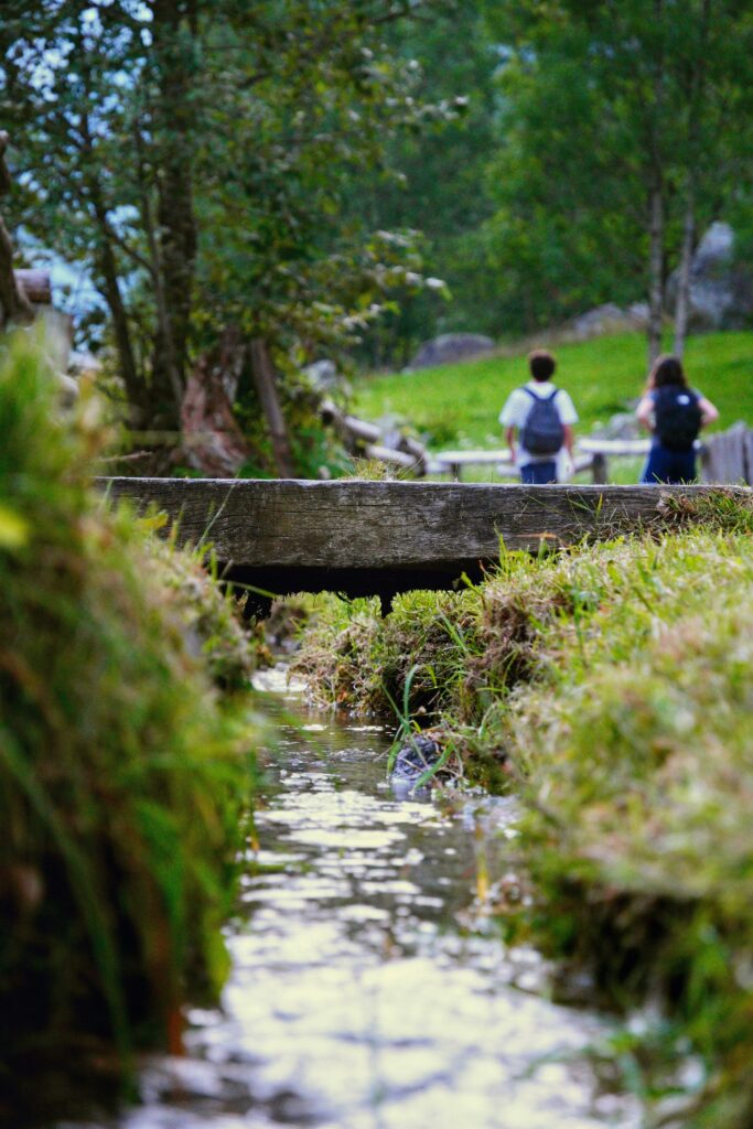 Business Coaching, Change Management, Coaching, Organisationsberatung, Jobverlust und Kündigung, SOS Beratung